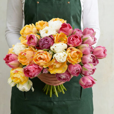 Florist's Choice Mix, Tulip - 10 Bulbs image number null
